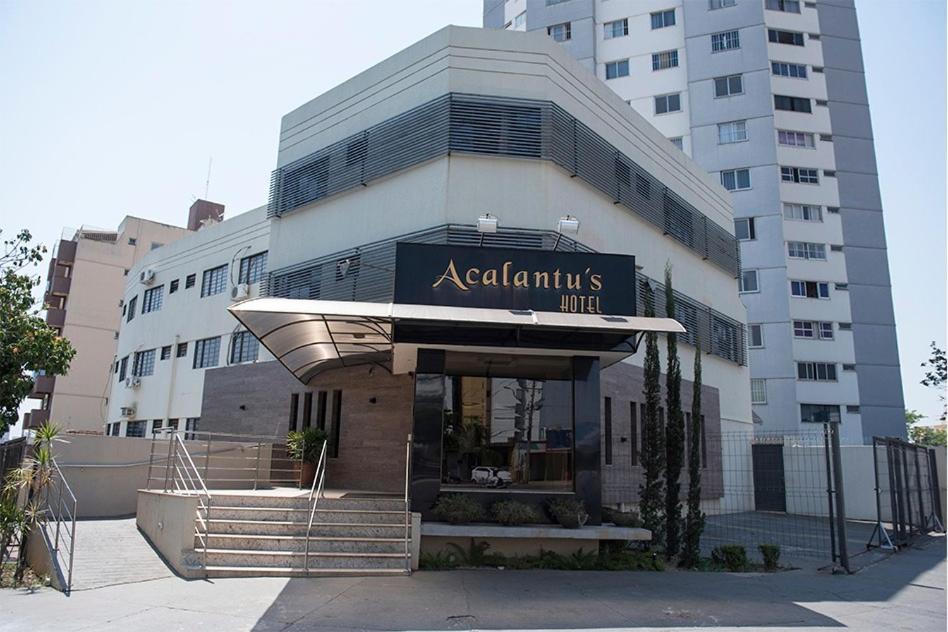 Acalantus Hotel Гояния Экстерьер фото